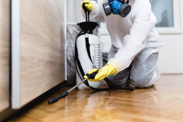 Best Pest Removal Services  in Chatham, IL