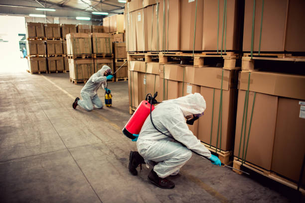  Chatham, IL Pest Control Pros