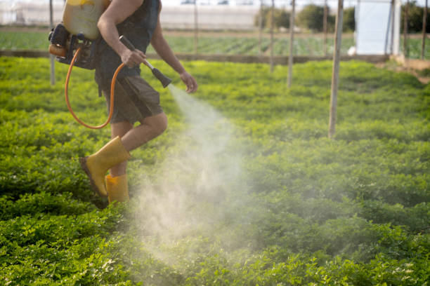 Professional Pest Control in Chatham, IL