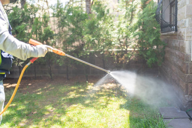 Best Affordable Pest Control Services  in Chatham, IL