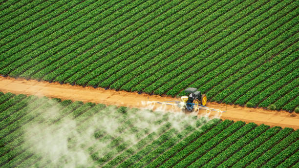 Best Ant Control Services  in Chatham, IL