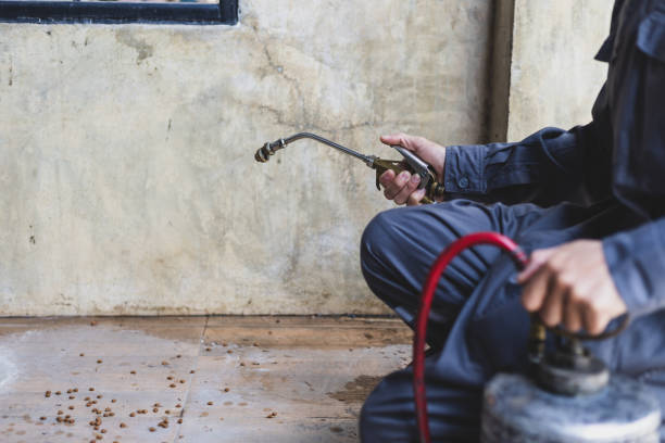 Best Pest Inspection Near Me  in Chatham, IL